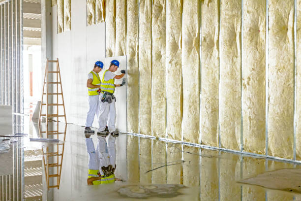 Best Blown-In Insulation  in Dayton, KY